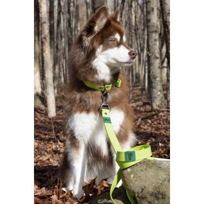 Green - Mossy Pine Waterproof Leash