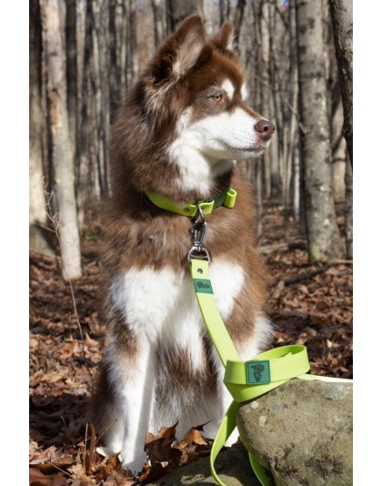 Green - Mossy Pine Waterproof Leash