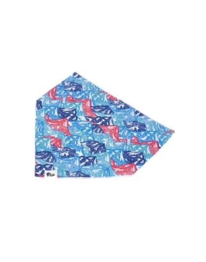 Painted Peaks Dog Bandana - M/L - 27in x 13in