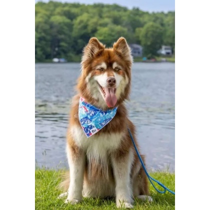 Painted Peaks Dog Bandana - S/M - 18in x 10in