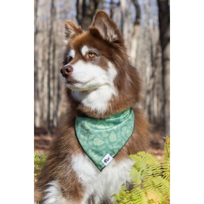 Pine Cone Pup Bandana - M/L - 27in x 13in