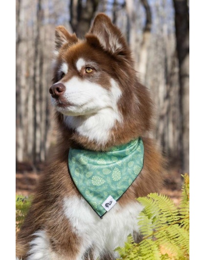 Pine Cone Pup Bandana - S/M - 18in x 10in