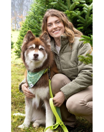 Pine Cone Pup Bandana - S/M - 18in x 10in