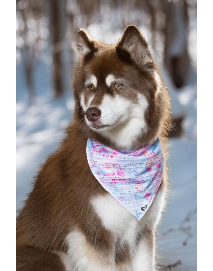 Pink and Blue Tribal Dog Bandana - XL - 35in x 17in