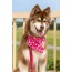 Red Mountain Syrah Dog Bandana - S/M - 18in x 10in