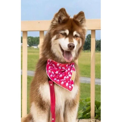 Red Mountain Syrah Dog Bandana - M/L - 27in x 13in