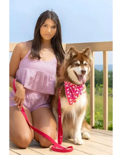 Red Mountain Syrah Dog Bandana - S/M - 18in x 10in