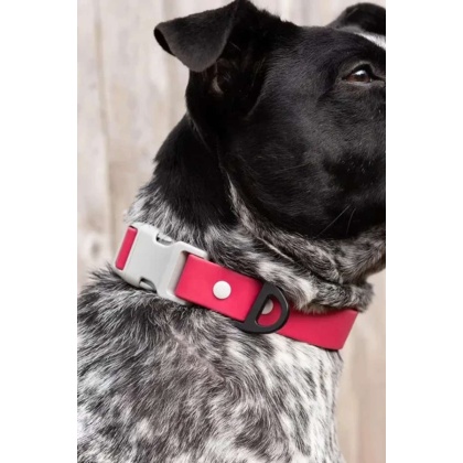 Red Mountain Syrah Waterproof Dog Collar - 11 - 13 inch