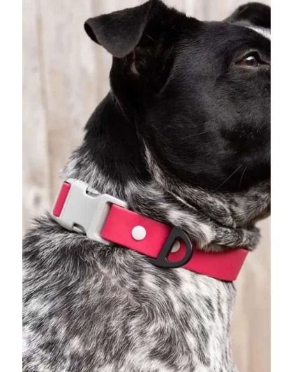 Red Mountain Syrah Waterproof Dog Collar - 11 - 13 inch