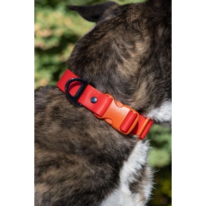 Scarlet Peaks Waterproof Dog Collar - 11 - 13 inch