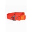 Scarlet Peaks Waterproof Dog Collar - 11 - 13 inch