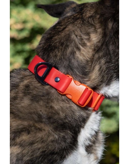 Scarlet Peaks Waterproof Dog Collar - 13 - 15 inch