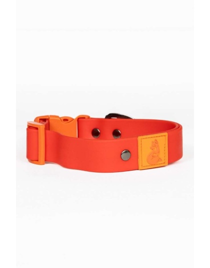 Scarlet Peaks Waterproof Dog Collar - 13 - 15 inch