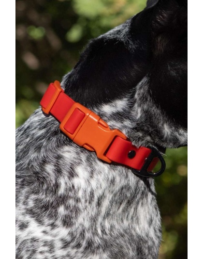 Scarlet Peaks Waterproof Dog Collar - 15 - 17 inch