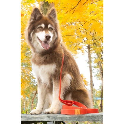 Red / Orange - Scarlet Peaks Waterproof Leash