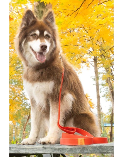 Red / Orange - Scarlet Peaks Waterproof Leash