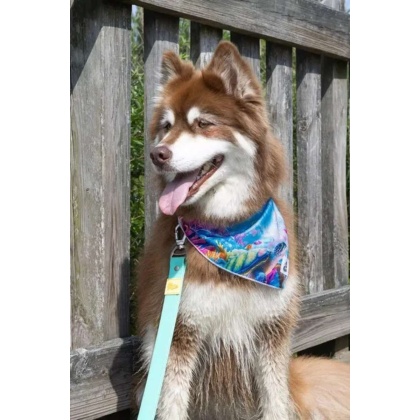 Sea Turtle Swim Dog Bandana - M/L - 27in x 13in