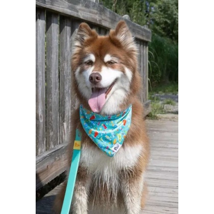 Seaside Sips Dog Bandana - XL - 35in x 17in