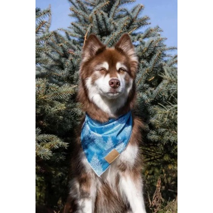 Siberian Spruce Dog Bandana - S/M - 18in x 10in