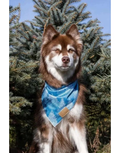 Siberian Spruce Dog Bandana - S/M - 18in x 10in