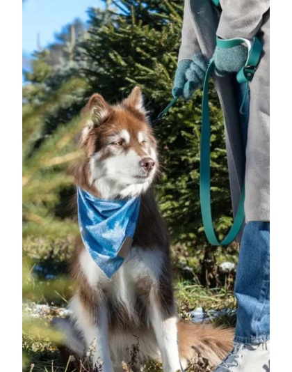 Siberian Spruce Dog Bandana - S/M - 18in x 10in