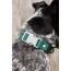 Siberian Spruce Waterproof Dog Collar - 11 - 13 inch