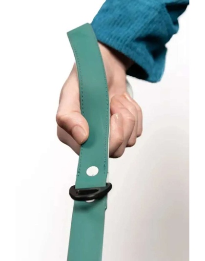 Green - Siberian Spruce Waterproof Dog Leash