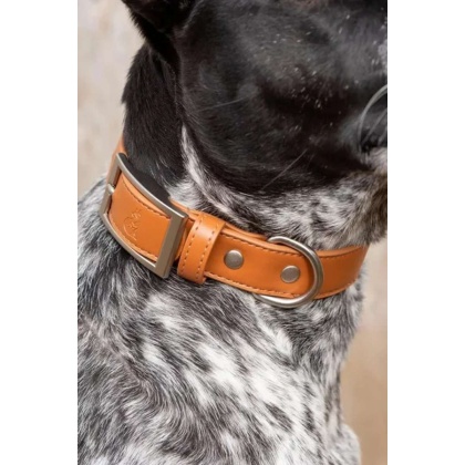 Sierra Sunrise Vegan Leather Dog Collar - 11 -13 inch