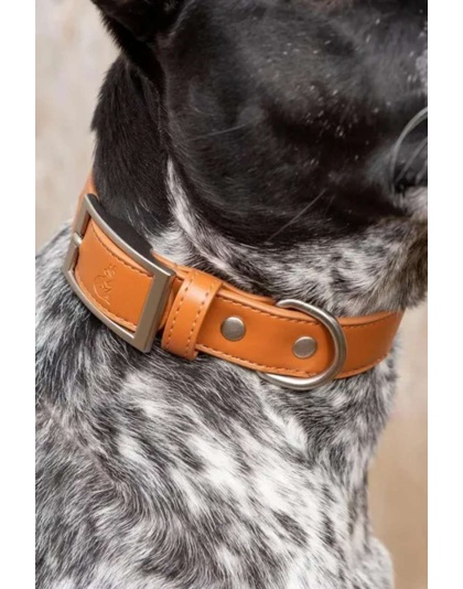 Sierra Sunrise Vegan Leather Dog Collar - 11 -13 inch