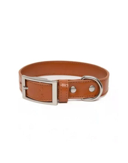 Sierra Sunrise Vegan Leather Dog Collar - 11 -13 inch