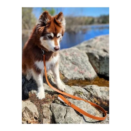 Brown-Red - Sierra Sunrise Vegan Leather Dog Leash