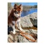 Brown-Red - Sierra Sunrise Vegan Leather Dog Leash