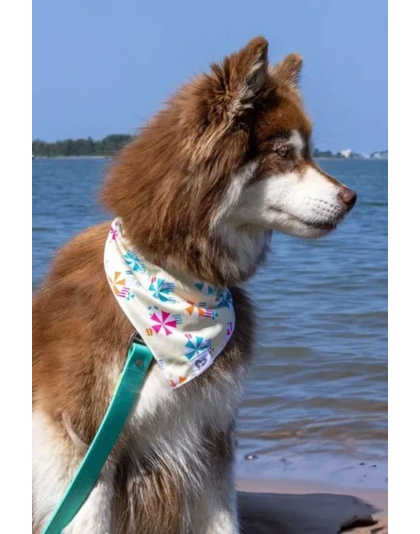 Sun & Shade Dog Bandana - M/L - 27in x 13in