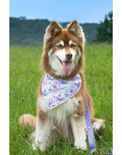 Wildflower Meadow Dog Bandana - M/L - 27in x 13in