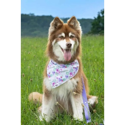 Wildflower Meadow Dog Bandana - XL - 35in x 17in