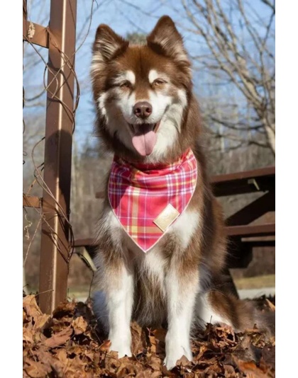 Wine Plaid Dog Bandana - M/L - 27in x 13in