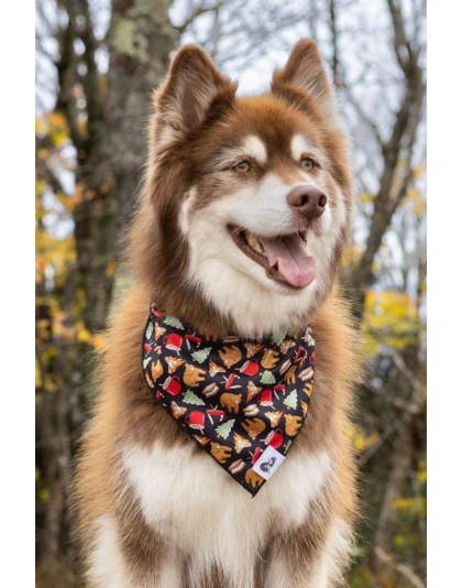 Woodland Tales Dog Bandana - M/L - 27in x 13in