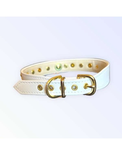 Popstar Studded Collar - 10"