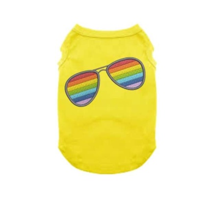 YELLOW - Pride Sunnies - X Large