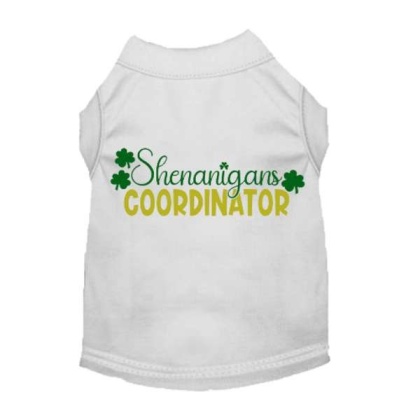 WHITE - Shenanigans Coordinator - Large