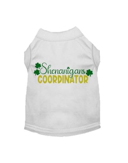 WHITE - Shenanigans Coordinator - Large