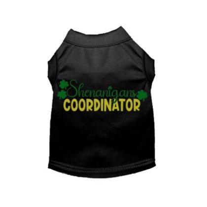 BLACK - Shenanigans Coordinator - 2X Large