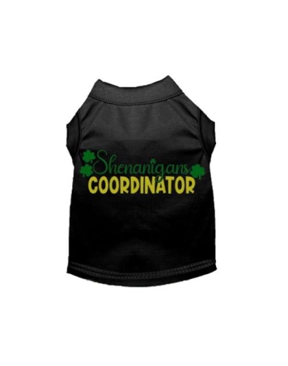 BLACK - Shenanigans Coordinator - 2X Large