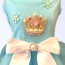 Snow Queen Dress - X Small