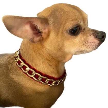 Burgundy - Gold Chain Velvet Collar - Large