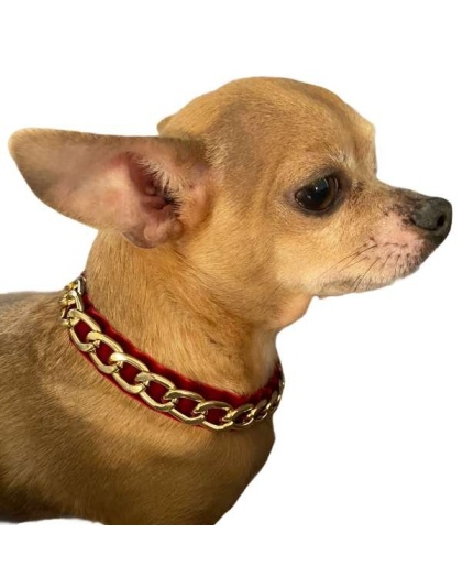 Burgundy - Gold Chain Velvet Collar - Medium