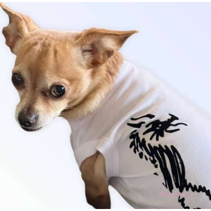 WHITE - Hairmes Dragon Tee - 2X Large