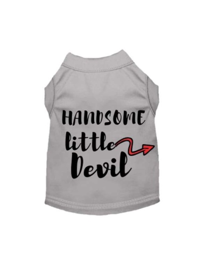 Gray - Handsome Little Devil - 2X Large