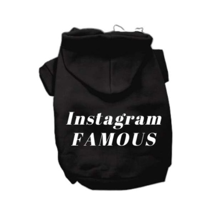 Black - IG Famous Hoodie - Large