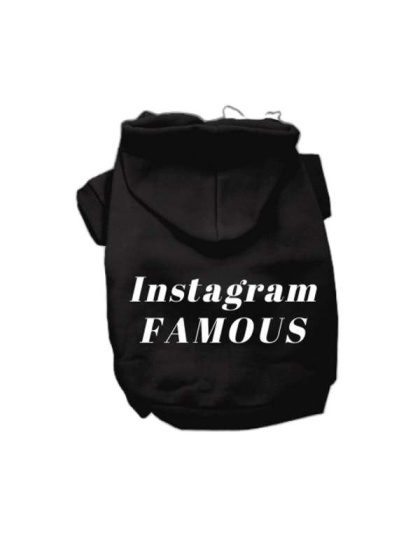 Black - IG Famous Hoodie - Large